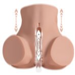 XS-SQ-MAR50123V (USANC)