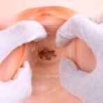 Primal-XG1850 - Image 5