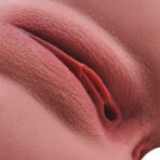 Primal-T159 - Image 9