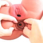 Primal-TU250 - Image 3