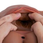 Primal-T178 - Image 7