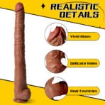 XS-SQ-WBC10268 (USACA) - Image 3