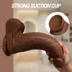 XS-SQ-WBC10221(USACA) - Image 4