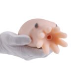 Primal-MQOCTOPUS - Image 2