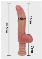 Primal-LM-186 - Image 4