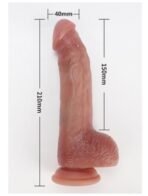 Primal-LM-321 - Image 2