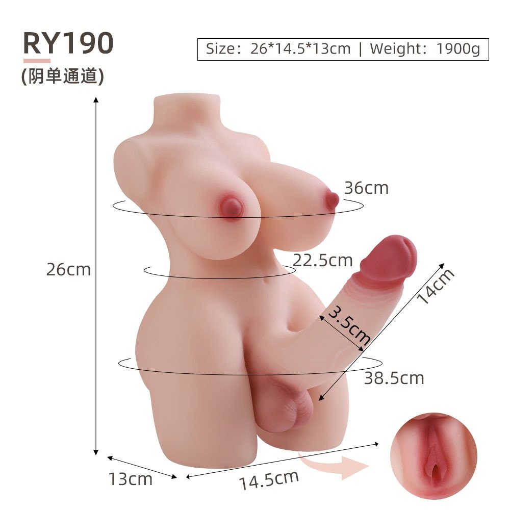 Primal Mixed-Anatomy TPE Torso – RY190 – Dimensions reference