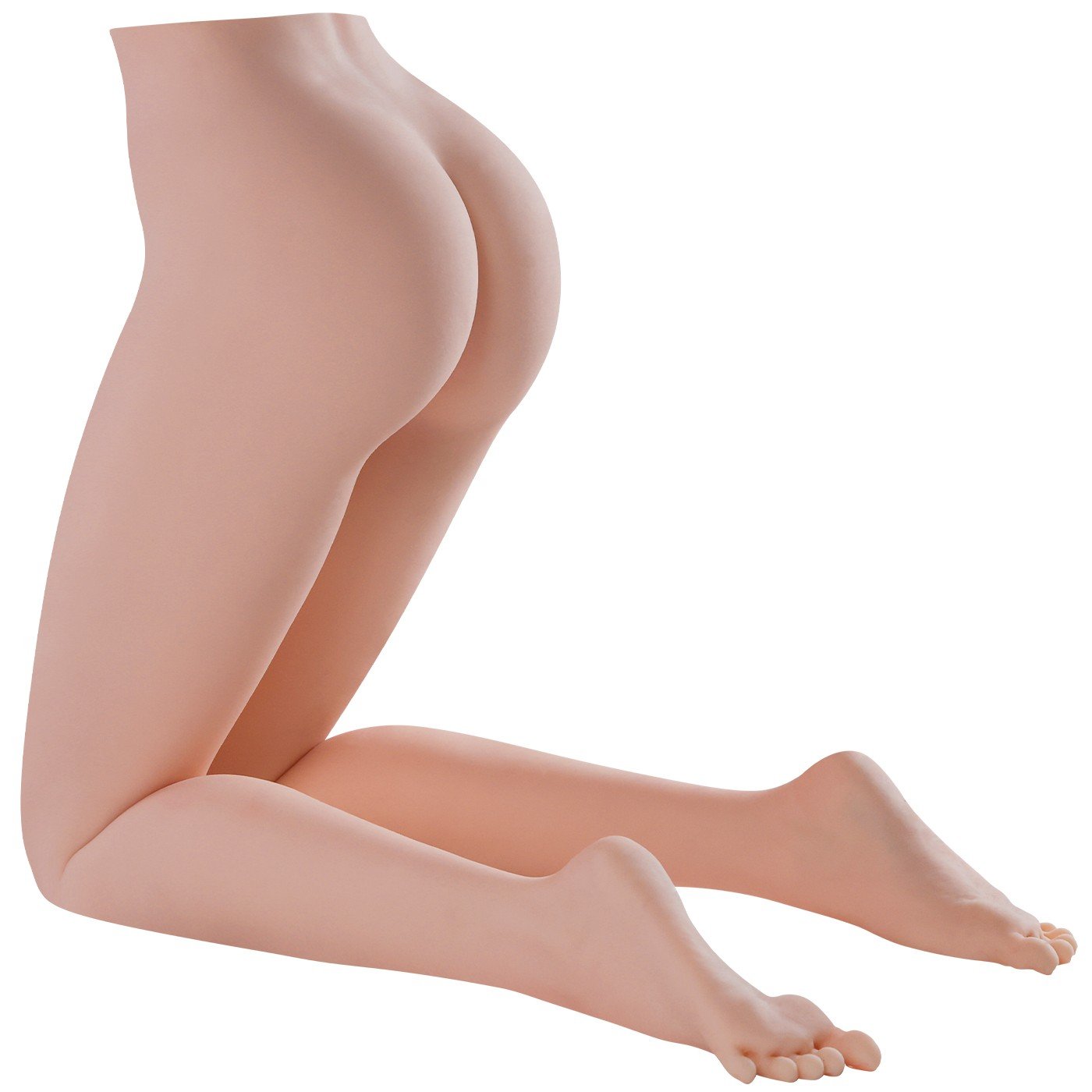 Primal TPE Lower-Body Torso – TM2200 – Additional product view